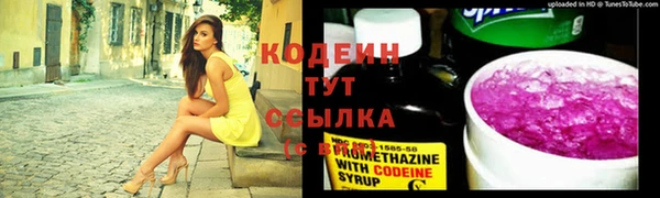 сатива Богданович