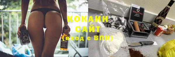 твердый Богородск