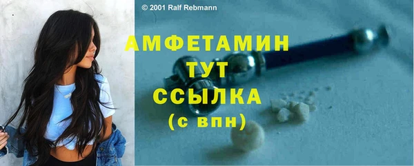 сатива Богданович