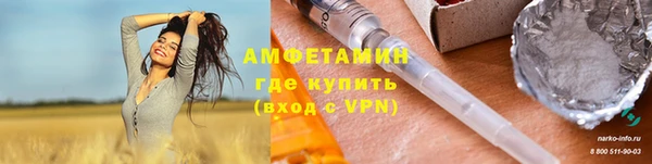 сатива Богданович