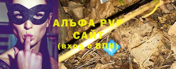 крисы Белоозёрский