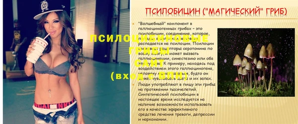 твердый Богородск