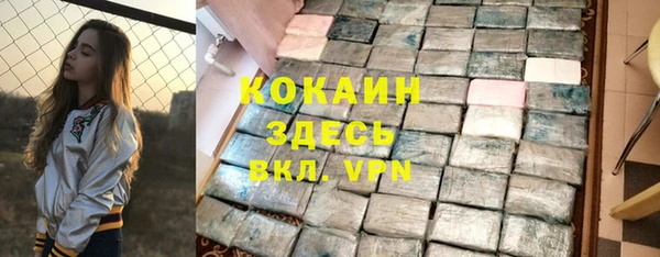 гидра Рославль