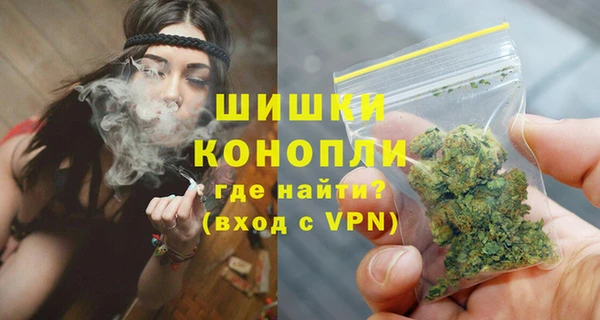 сатива Богданович