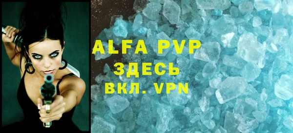 сатива Богданович